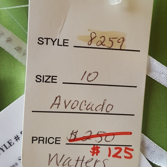 Watters and Watters 2pcs Elegant Formal Dress Gown Avocado Size 10 - Picture 9 of 9